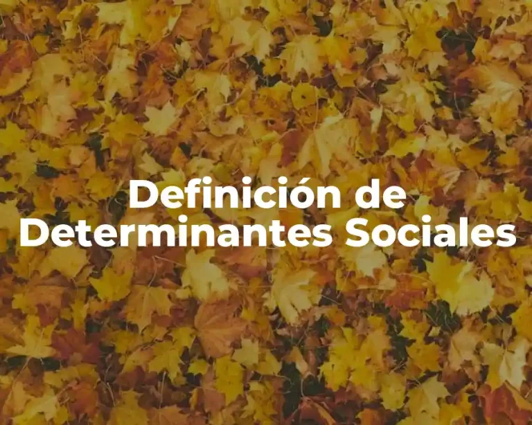 Definición de Determinantes Sociales