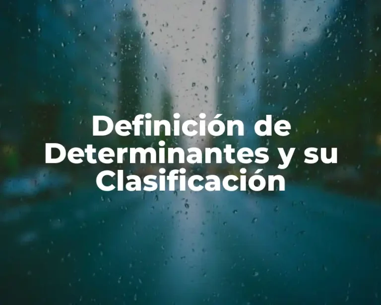 Definición de Determinantes y su Clasificación