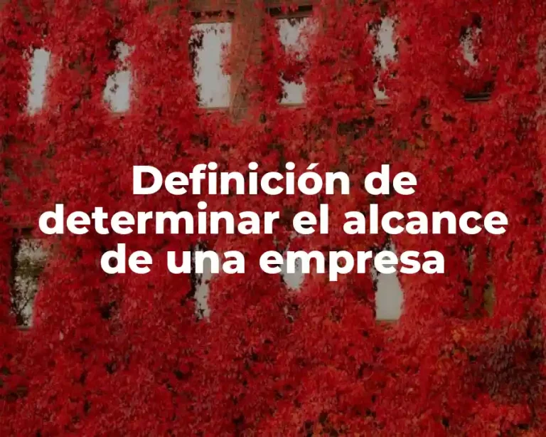 Definición de determinar el alcance de una empresa