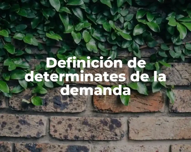 Definición de determinates de la demanda