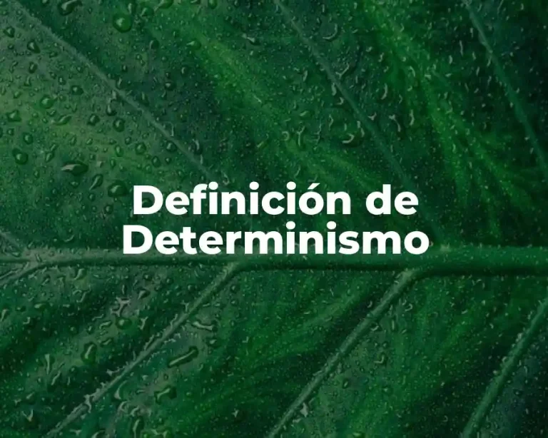 Definición de Determinismo