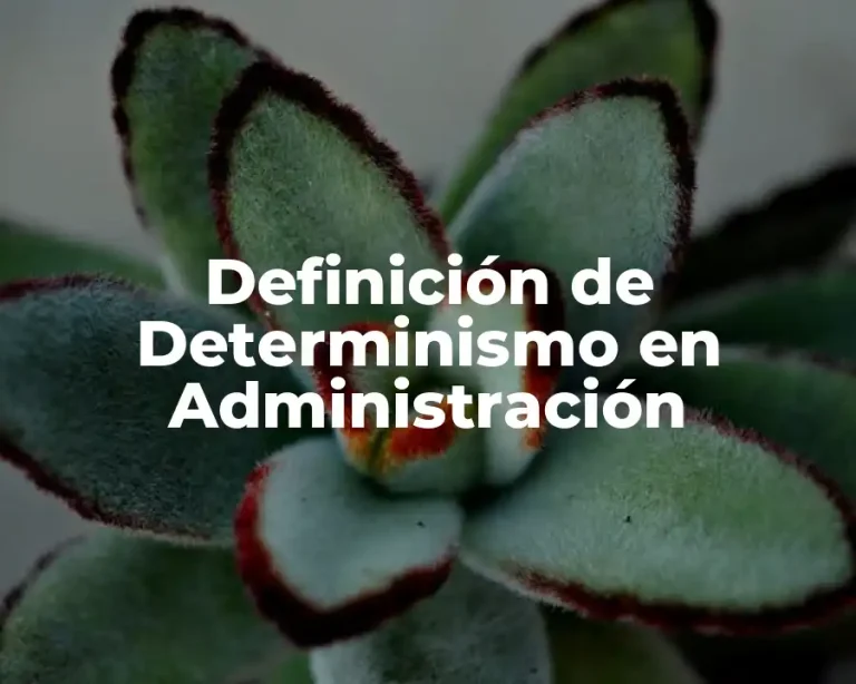 Definición de Determinismo en Administración