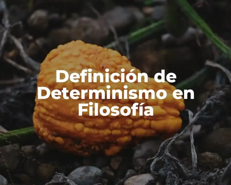 Definición de Determinismo en Filosofía