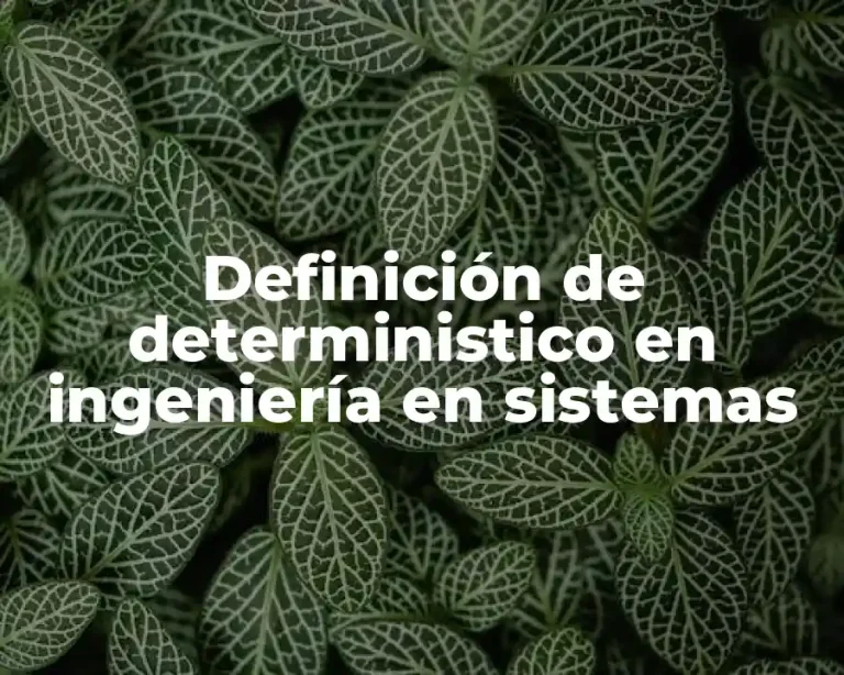 Definición de deterministico en ingeniería en sistemas