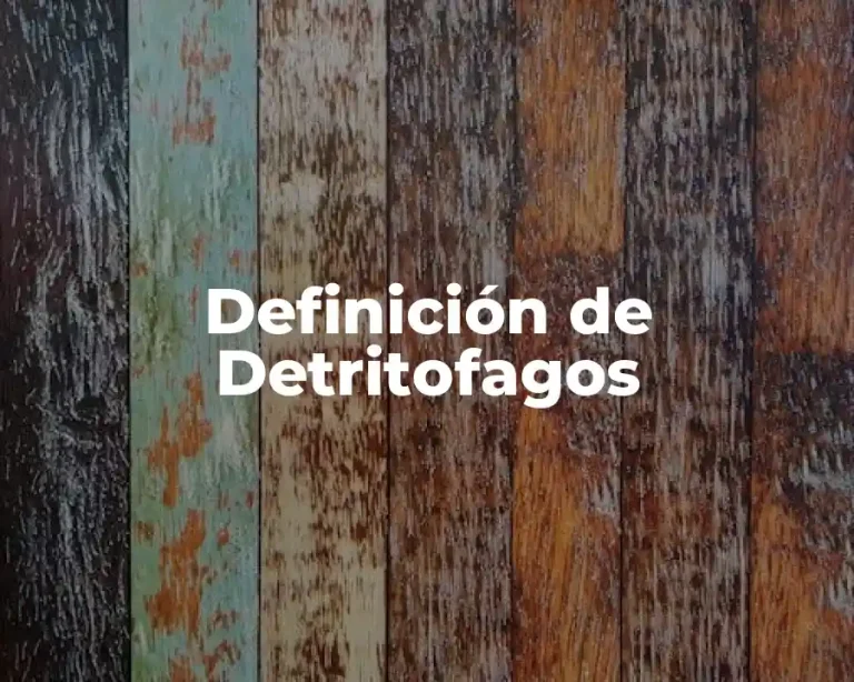 Definición de Detritofagos