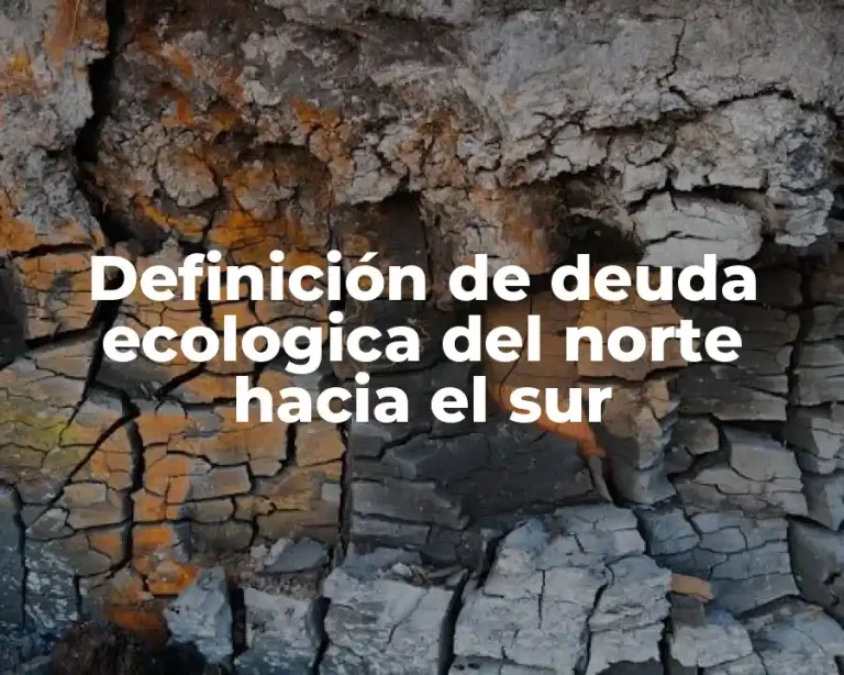 Definición de deuda ecologica del norte hacia el sur
