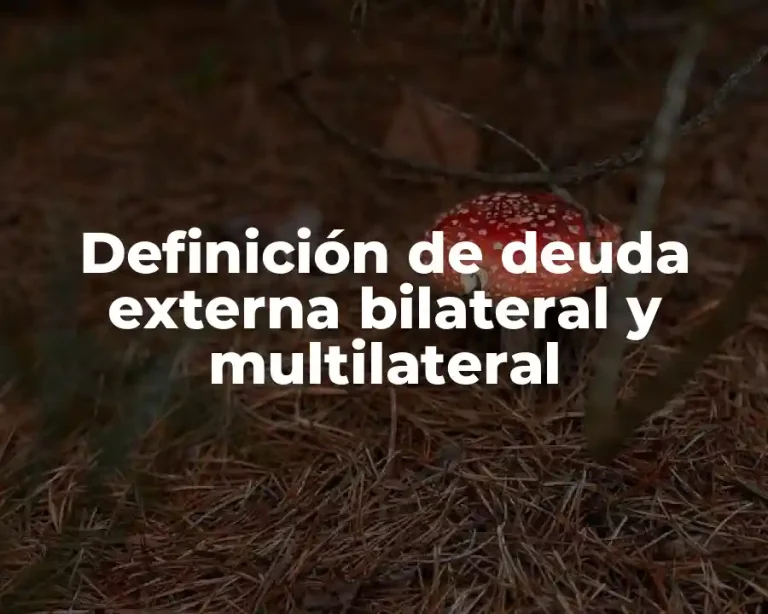 Definición de deuda externa bilateral y multilateral
