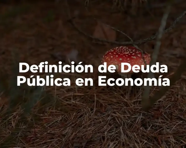 Definición de Deuda Pública en Economía