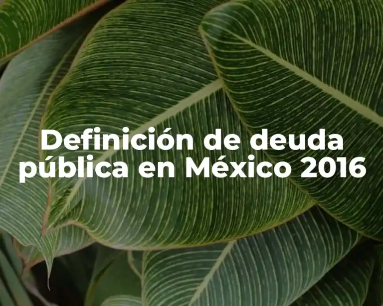 Definición de deuda pública en México 2016
