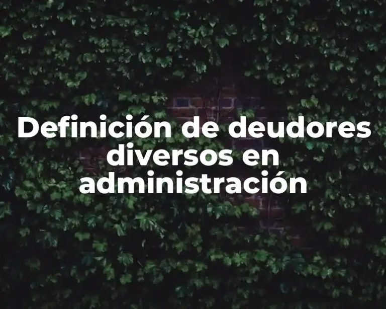 Definición de deudores diversos en administración