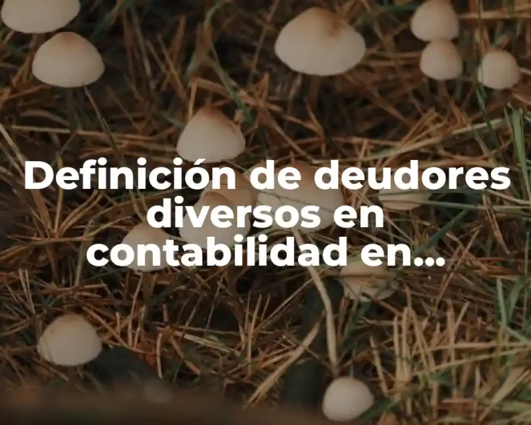 Definición de deudores diversos en contabilidad en derecho