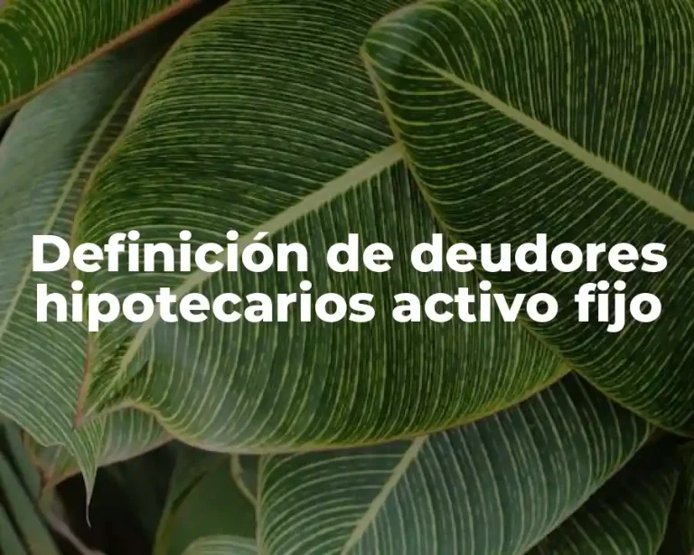 Definición de deudores hipotecarios activo fijo