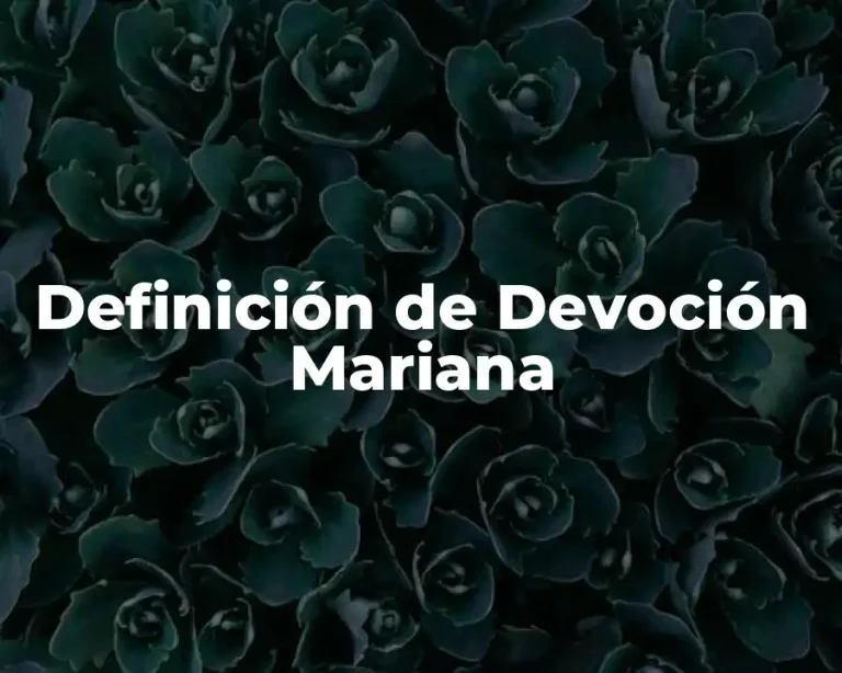 Definición de Devoción Mariana