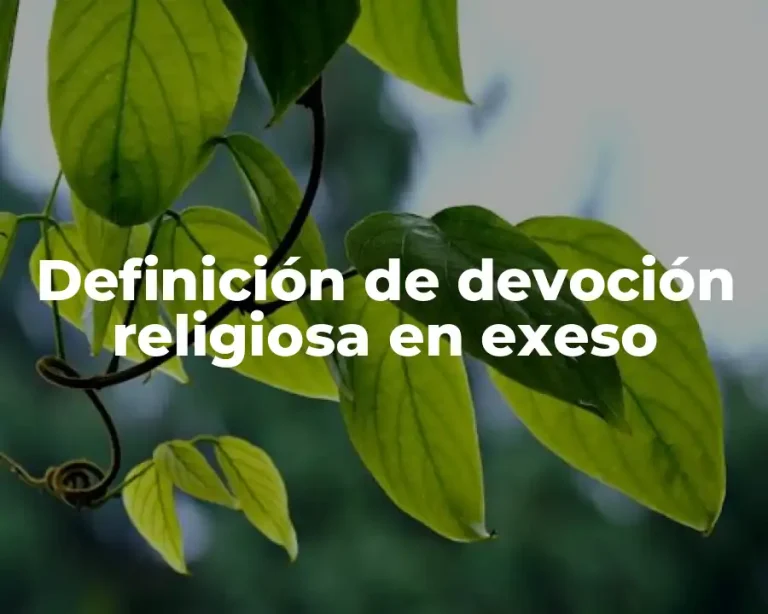 Definición de devoción religiosa en exeso