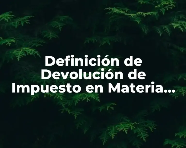 Definición de Devolución de Impuesto en Materia Fiscal
