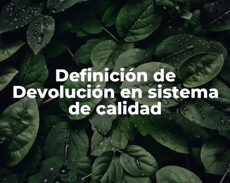 Definición de Devolución en sistema de calidad