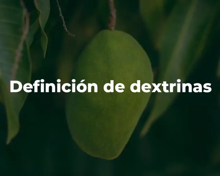Definición de dextrinas