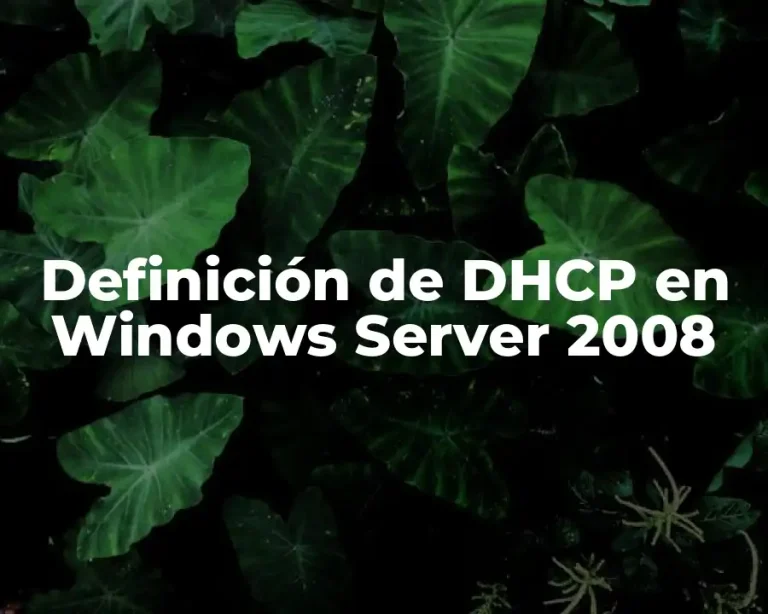 Definición de DHCP en Windows Server 2008