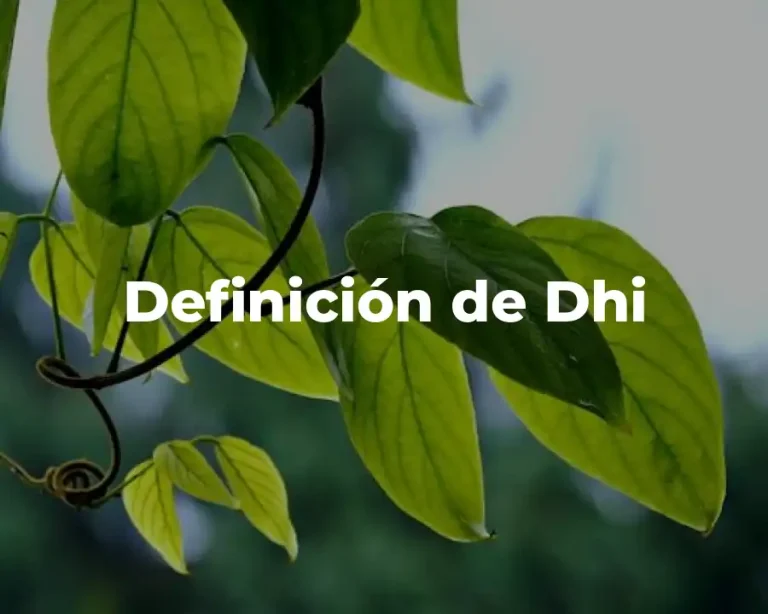 Definición de Dhi