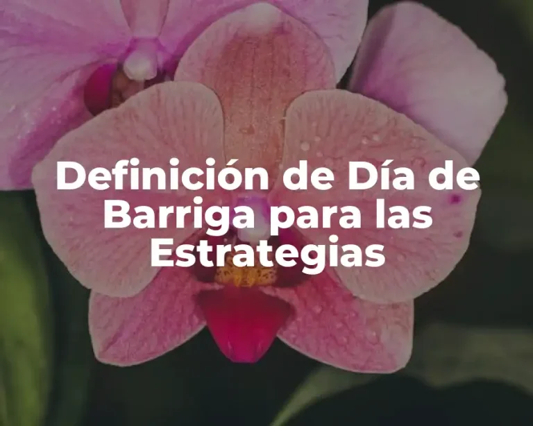 Definición de Día de Barriga para las Estrategias