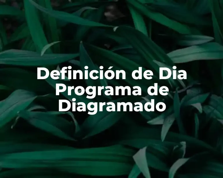 Definición de Dia Programa de Diagramado