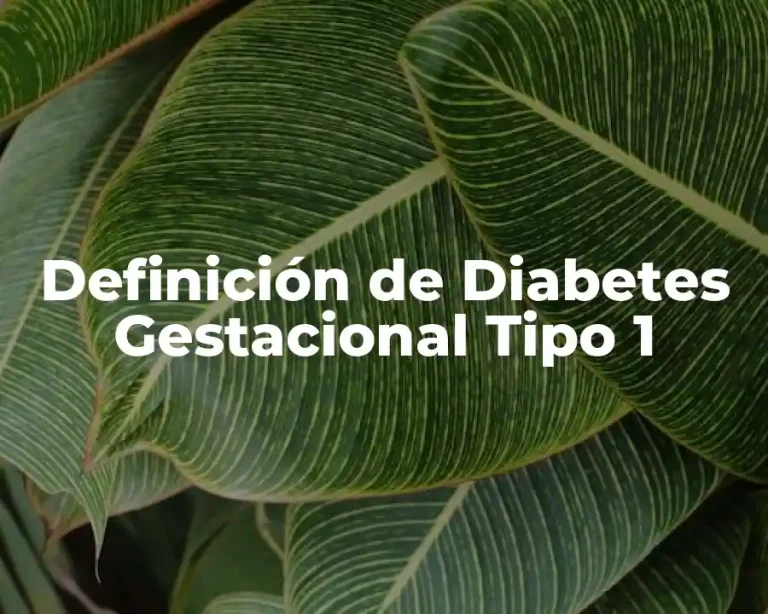 Definición de Diabetes Gestacional Tipo 1
