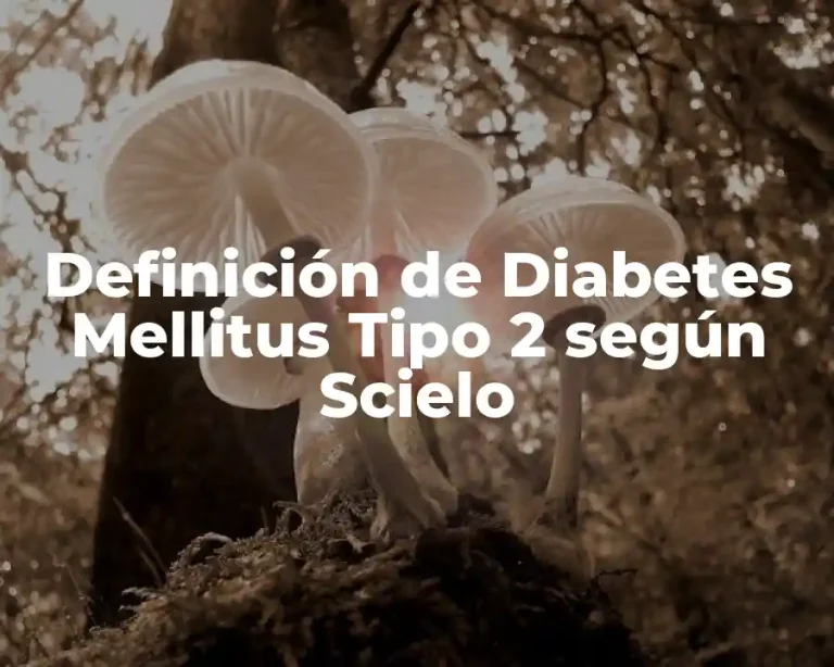 Definición de Diabetes Mellitus Tipo 2 según Scielo
