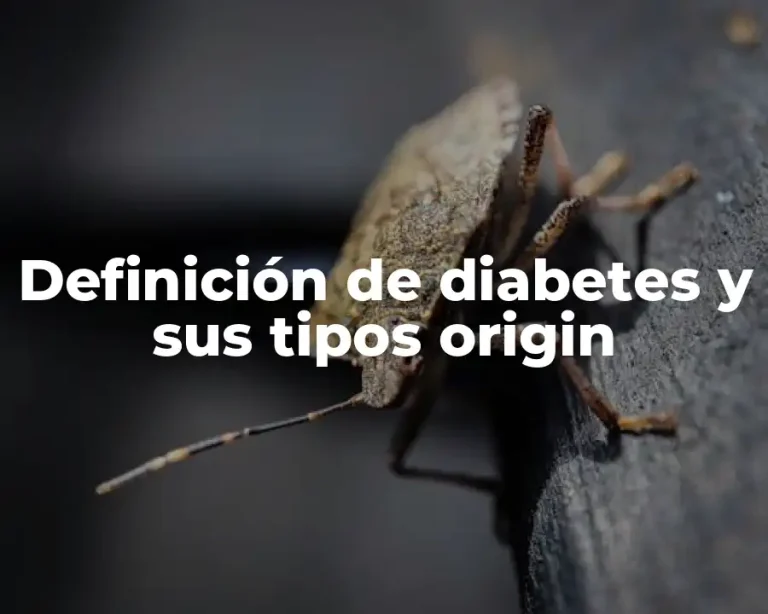 Definición de diabetes y sus tipos origin