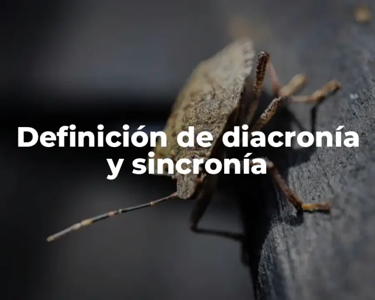 Definición de diacronía y sincronía
