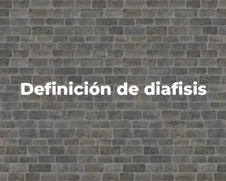Definición de diafisis