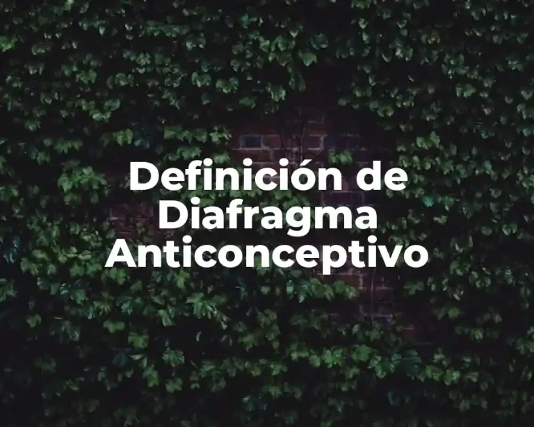 Definición de Diafragma Anticonceptivo