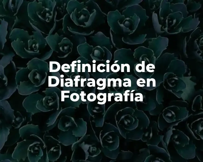 Definición de Diafragma en Fotografía