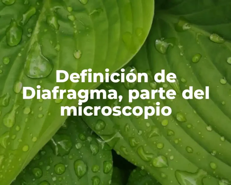 Definición de Diafragma, parte del microscopio