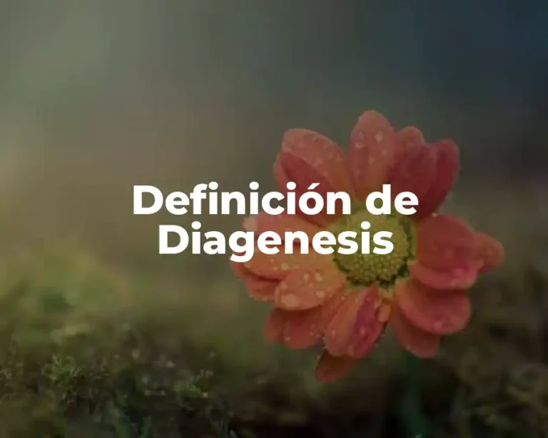 Definición de Diagenesis