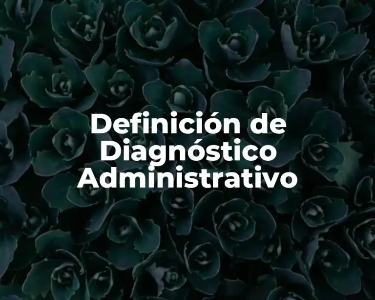 Definición de Diagnóstico Administrativo