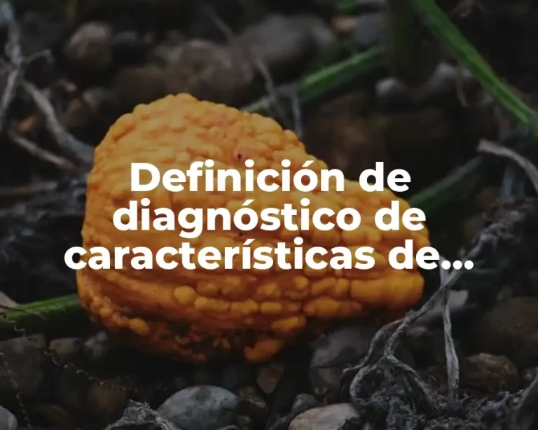 Definición de diagnóstico de características de entrevista