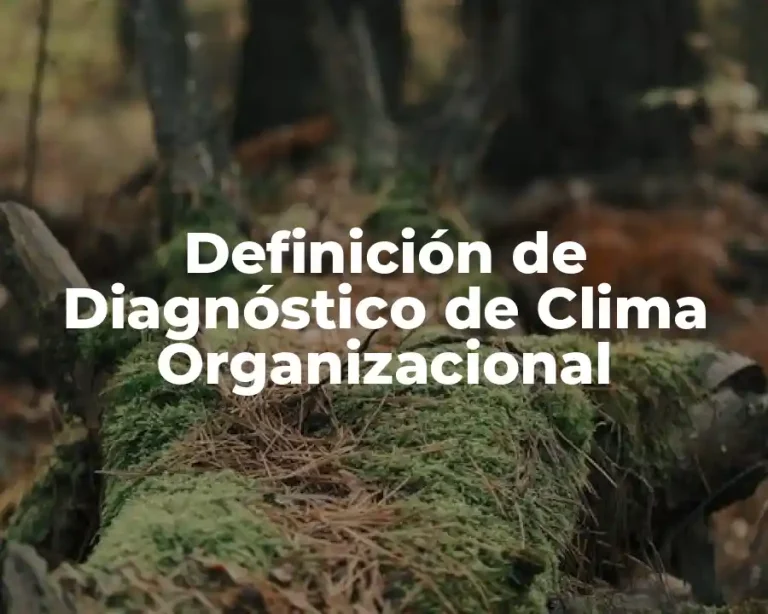 Definición de Diagnóstico de Clima Organizacional