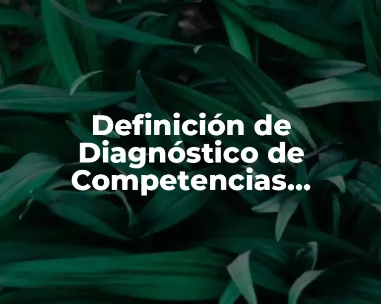 Definición de Diagnóstico de Competencias Profesionales