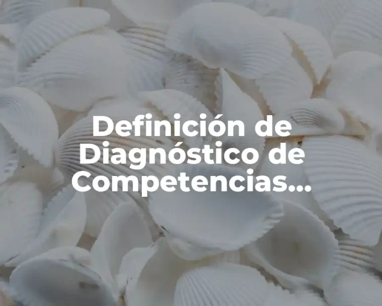 Definición de Diagnóstico de Competencias Profesionales Educativas