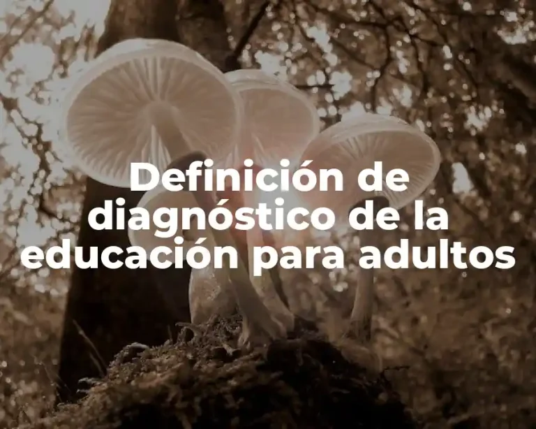 Definición de diagnóstico de la educación para adultos