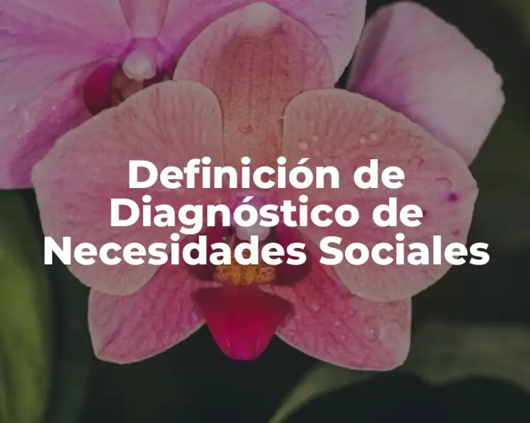 Definición de Diagnóstico de Necesidades Sociales