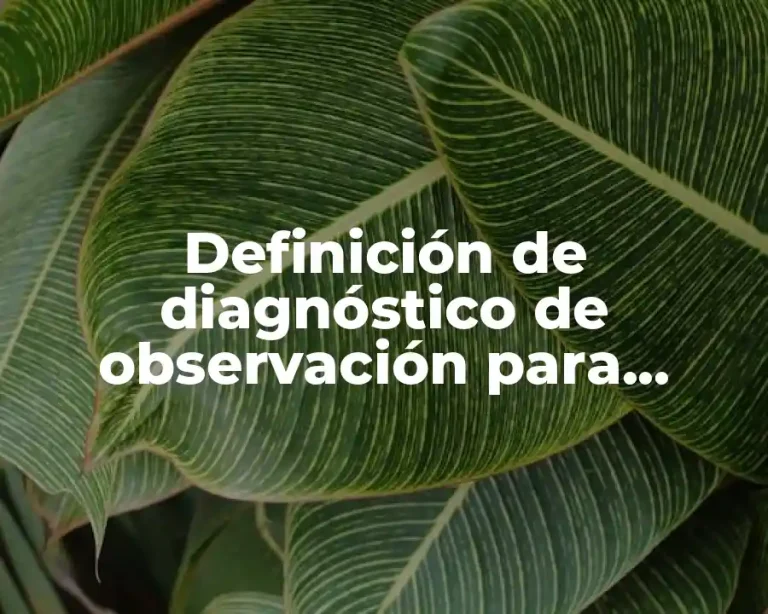 Definición de diagnóstico de observación para trabajo social