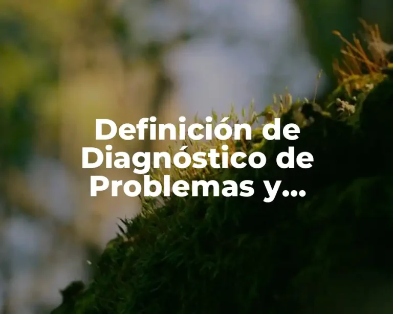 Definición de Diagnóstico de Problemas y Necesidades