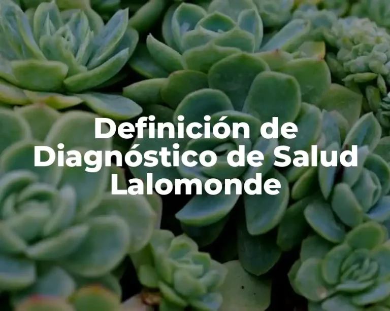 Definición de Diagnóstico de Salud Lalomonde