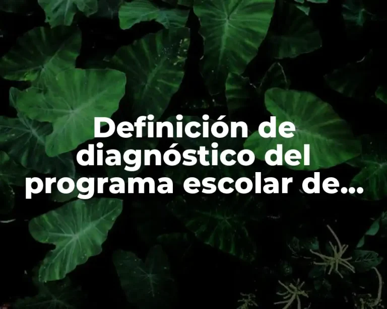 Definición de diagnóstico del programa escolar de mejora continua