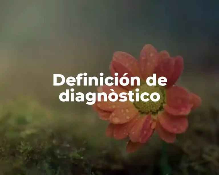 Definición de diagnòstico