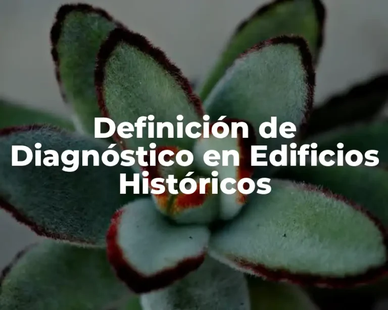 Definición de Diagnóstico en Edificios Históricos