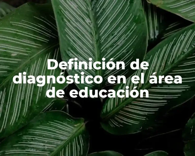 Definición de diagnóstico en el área de educación