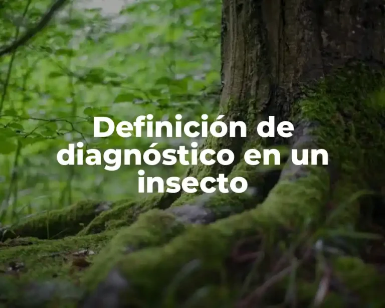 Definición de diagnóstico en un insecto