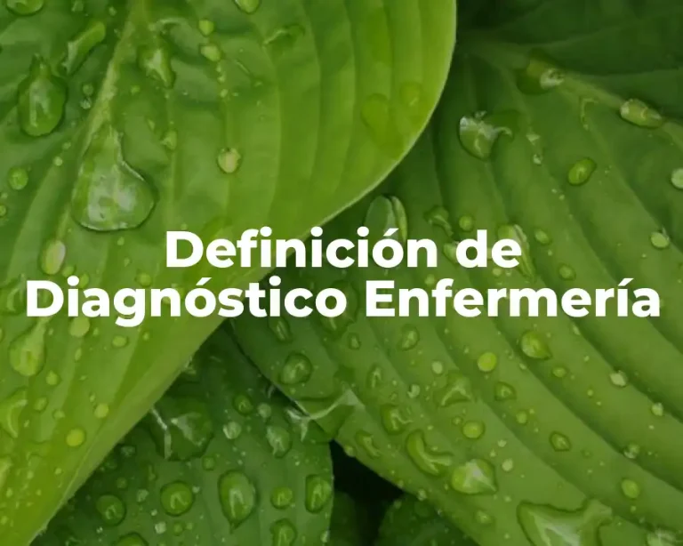 Definición de Diagnóstico Enfermería